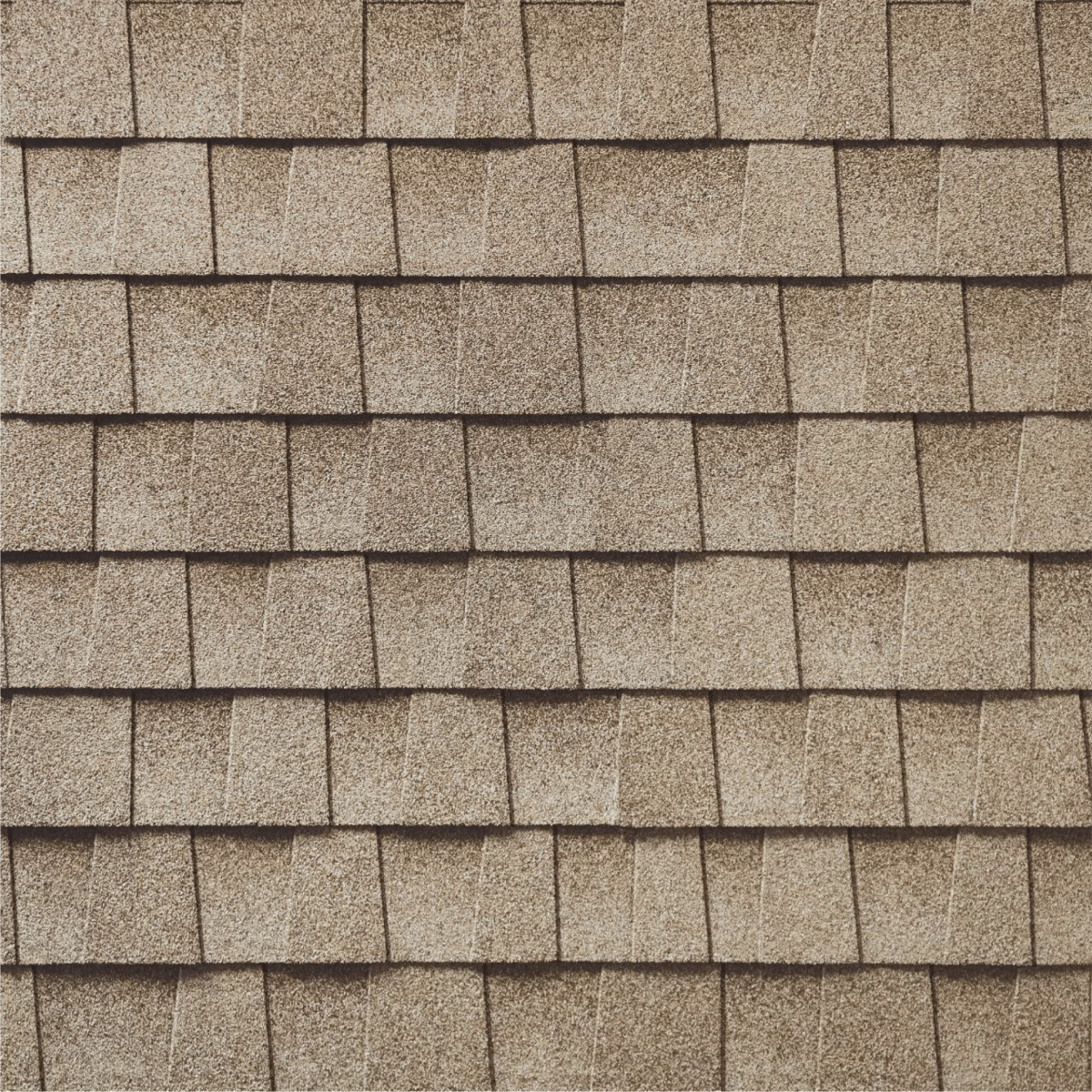 Nation Family Exteriors Images