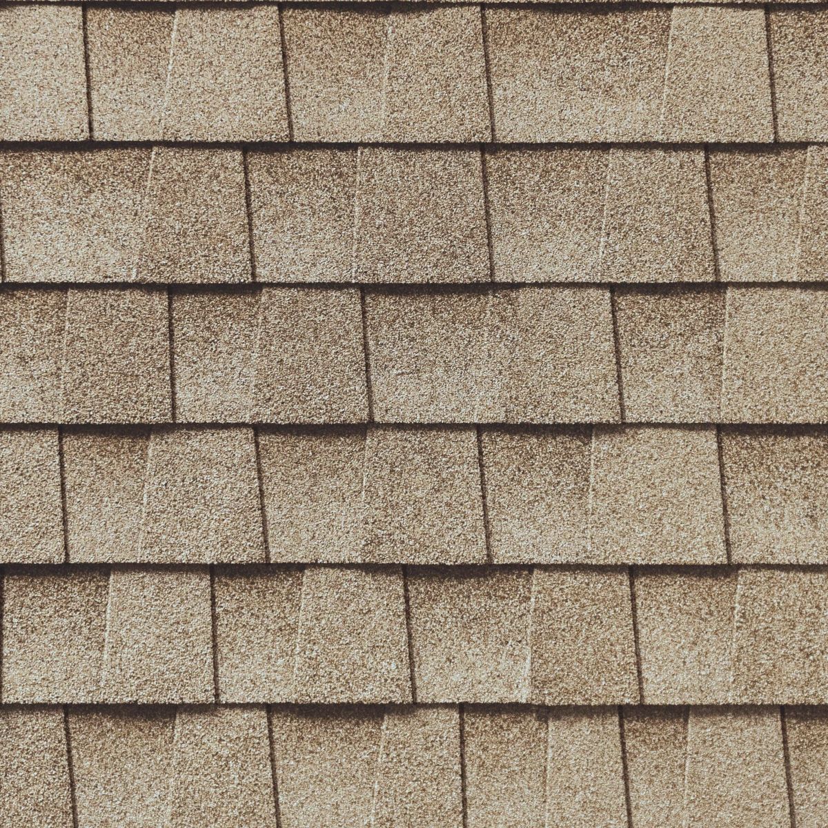 Nation Family Exteriors Images