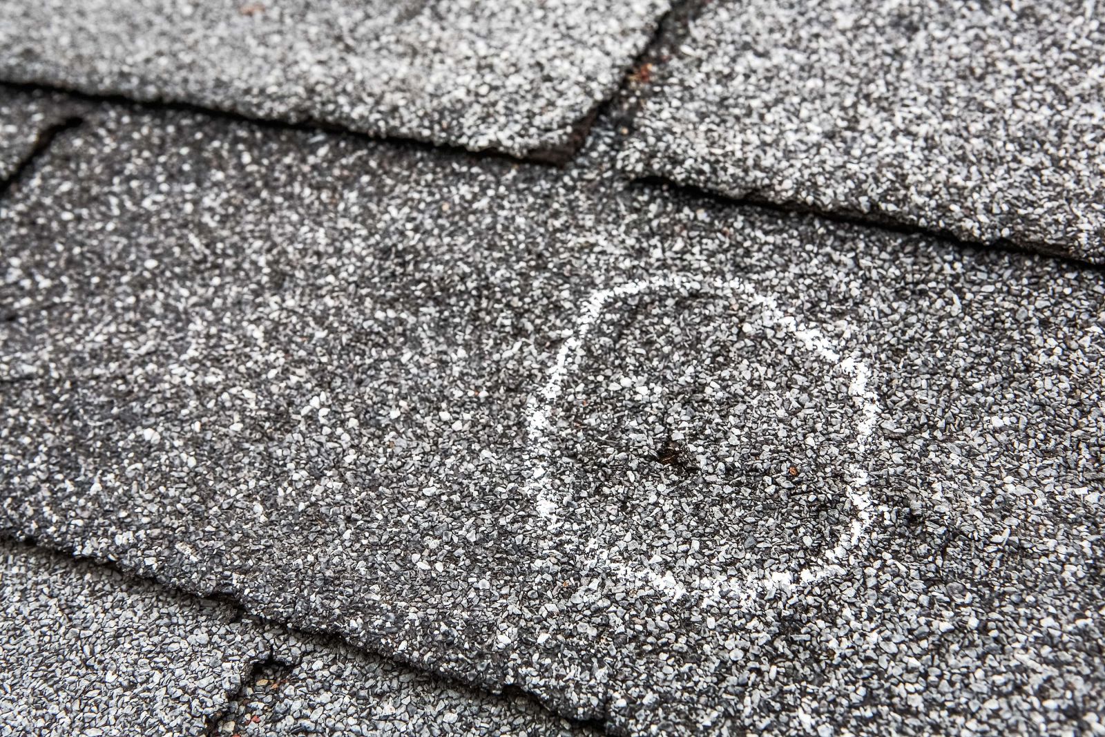 Nation Family Exteriors Images