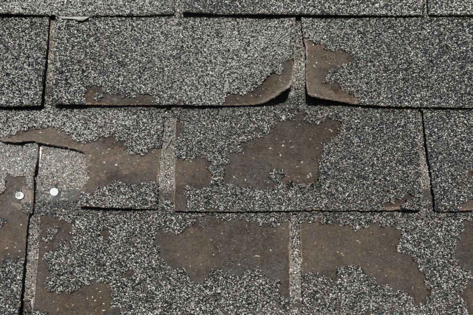Nation Family Exteriors Images